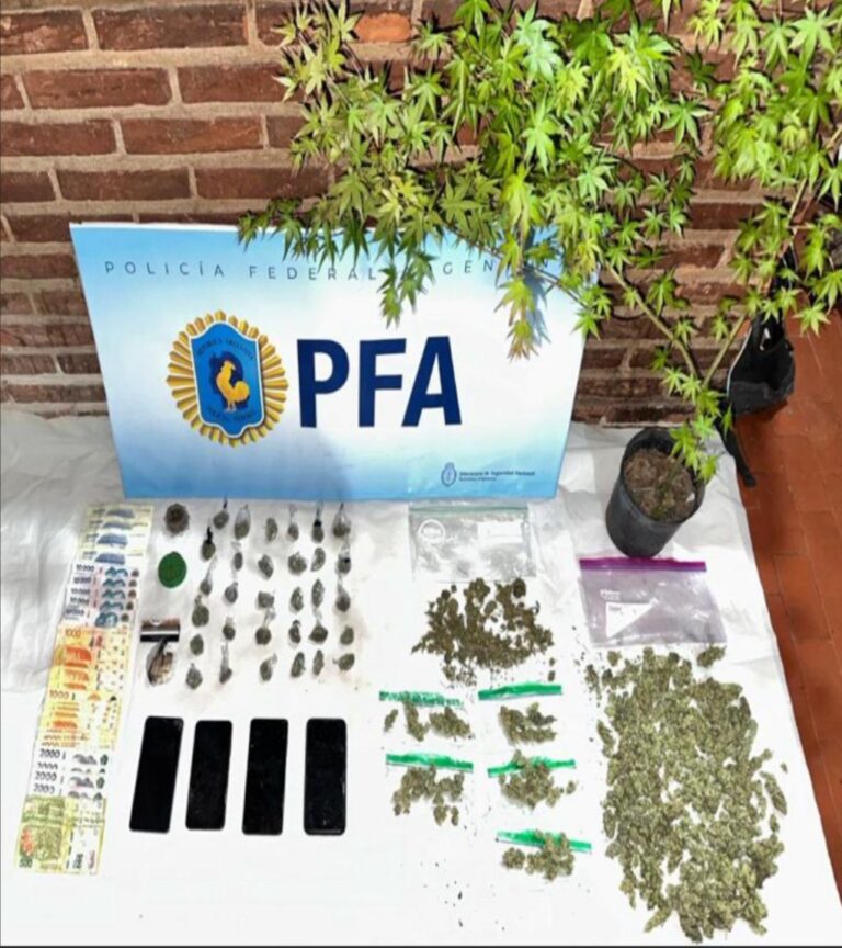 Policía Federal desbarató un punto de venta de drogas en Pinamar: un detenido y gran cantidad de estupefacientes secuestrados