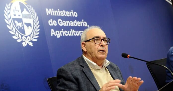 acuerdo-entre-argentina-y-eeuu-“no-es-una-buena-senal-para-fortalecer-el-mercosur”