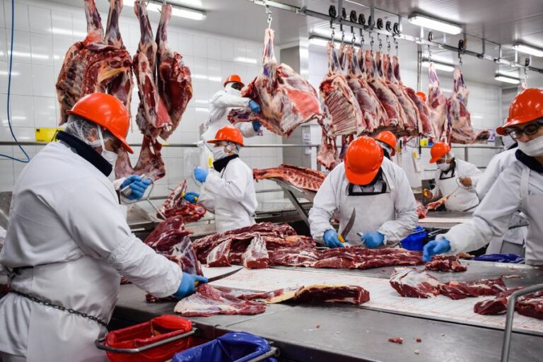 la-ue,-chile-y-china-rechazan-alimentos-argentinos