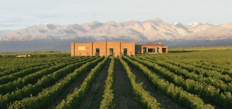 andeluna-invita-a-descubrir-la-belleza-del-invierno-en-gualtallary