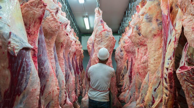 cae-el-consumo-interno-de-carne-mientras-crecen-exportaciones