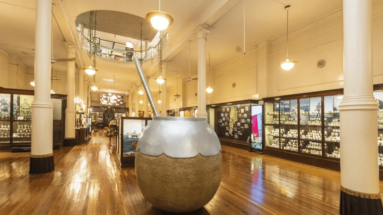 9 de julio en CABA: el Museo del Mate celebra la Independencia con entrada gratis