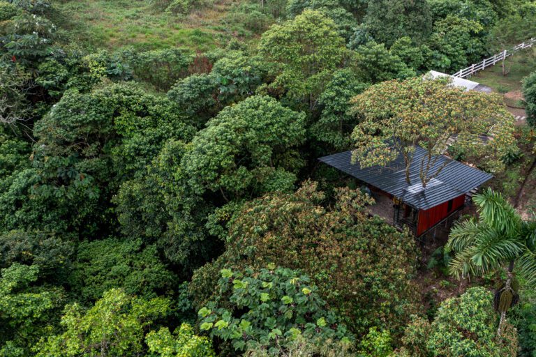 galeria-de-un-hospedaje-en-el-pigue-/-mestizo-estudio-arquitectura