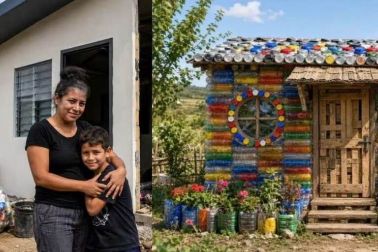 una-mujer-construyo-su-casa-con-850-bloques-de-plastico-reciclado-en-costa-rica