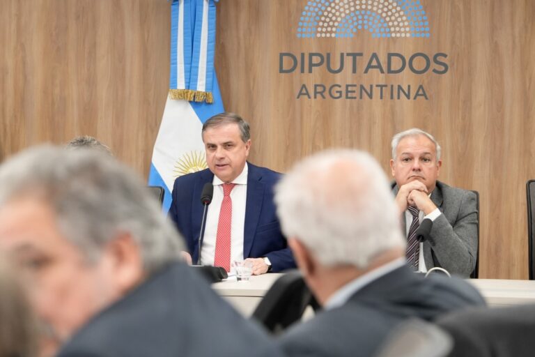 el-congreso-puso-bajo-la-lupa-los-controles-aduaneros-y-el-deficit-industrial