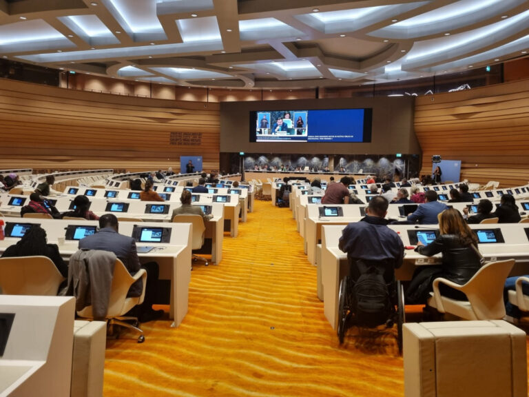 Argentina presenta su informe de avances en discapacidad frente a Naciones Unidas