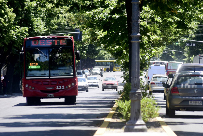 El 11M el transporte será gratis para mujeres en La Plata, Berisso y Ensenada