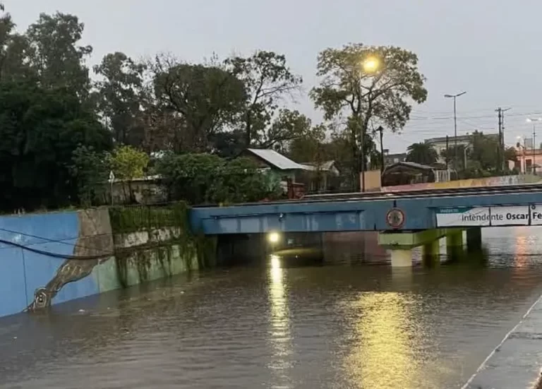 Bajo el agua: la provincia de Buenos Aires enfrenta una emergencia climática sin precedentes
