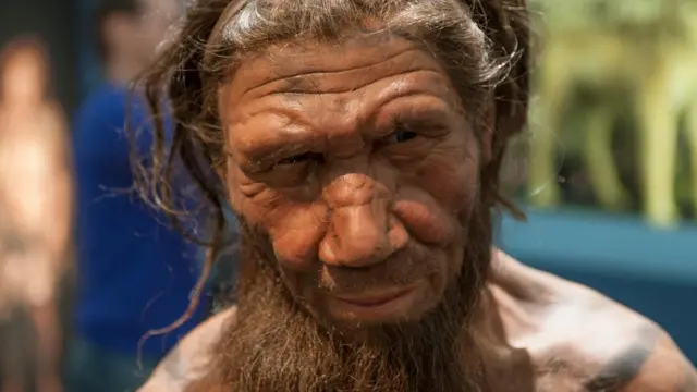 Hallan en Israel el fósil de un niño que sería el primer híbrido entre humanos y neandertales