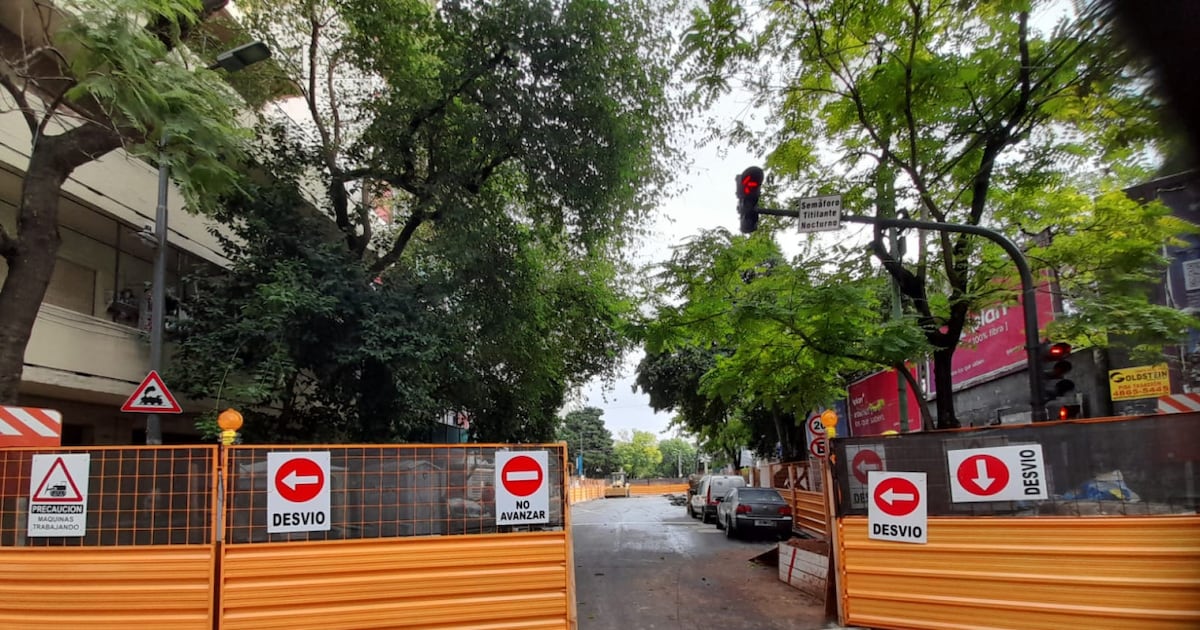 fin-de-semana-con-restricciones:-que-calles-estaran-cortadas-por-la-media-maraton-de-buenos-aires