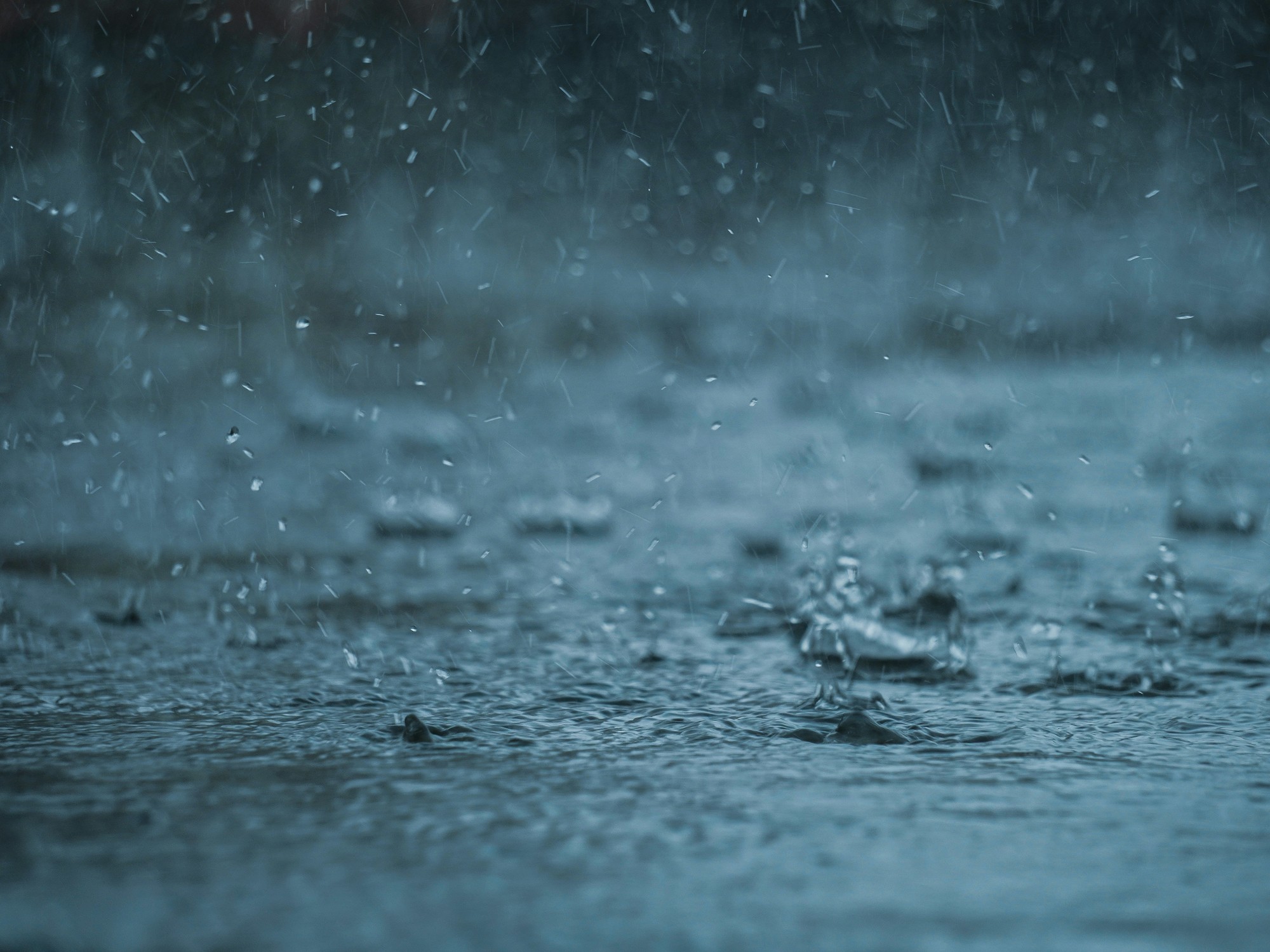 clima-hoy-en-bragado,-buenos-aires:-el-pronostico-del-tiempo-para-este-domingo-31-agosto-de-2025