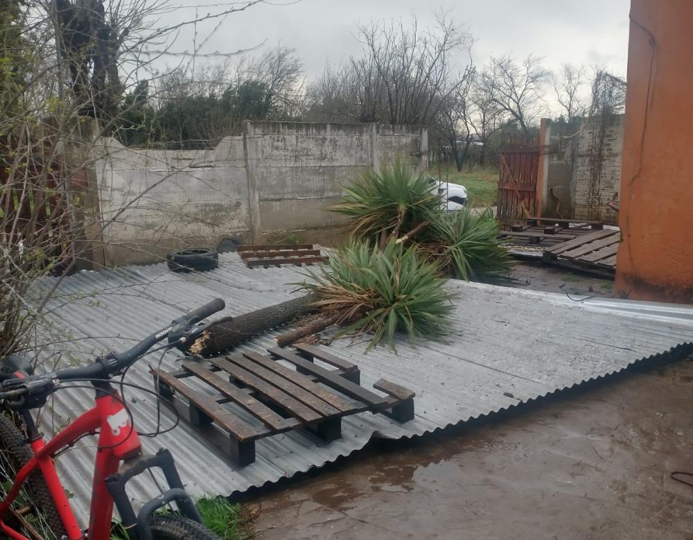el-temporal-de-santa-rosa-golpeo-con-intensas-lluvias-y-fuertes-rafagas-de-viento