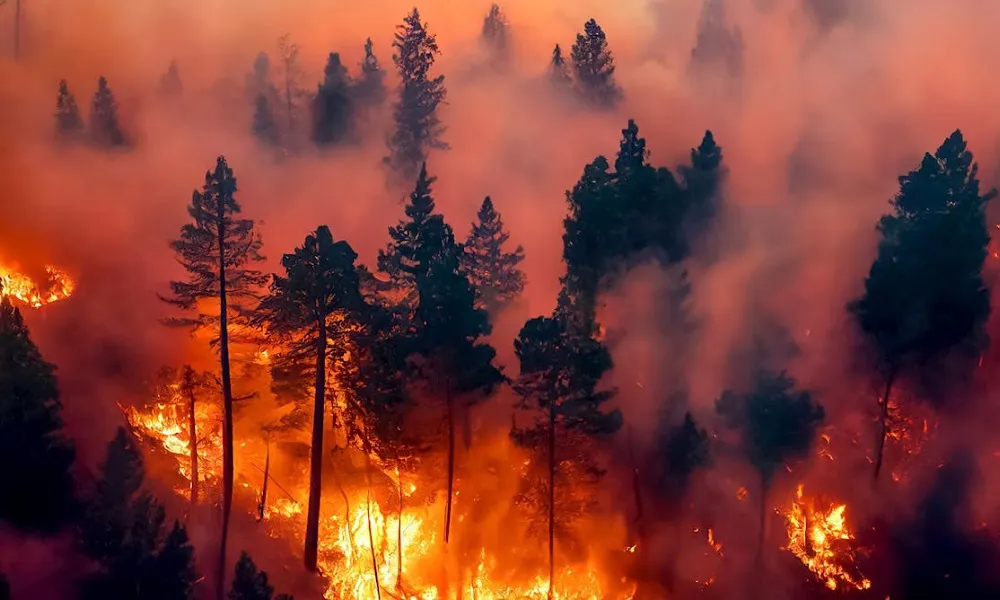 la-patagonia-arma-su-propio-comando-contra-incendios-y-gana-autonomia-ante-la-crisis