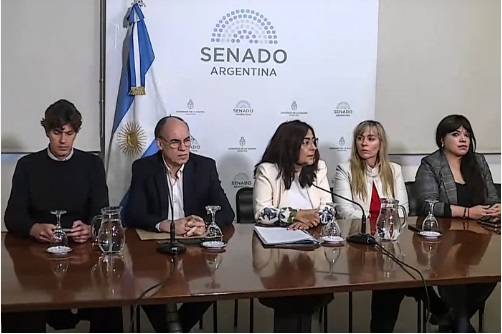 senadores-denuncian-atropello-constitucional-tras-denuncias-del-gobierno-contra-periodistas