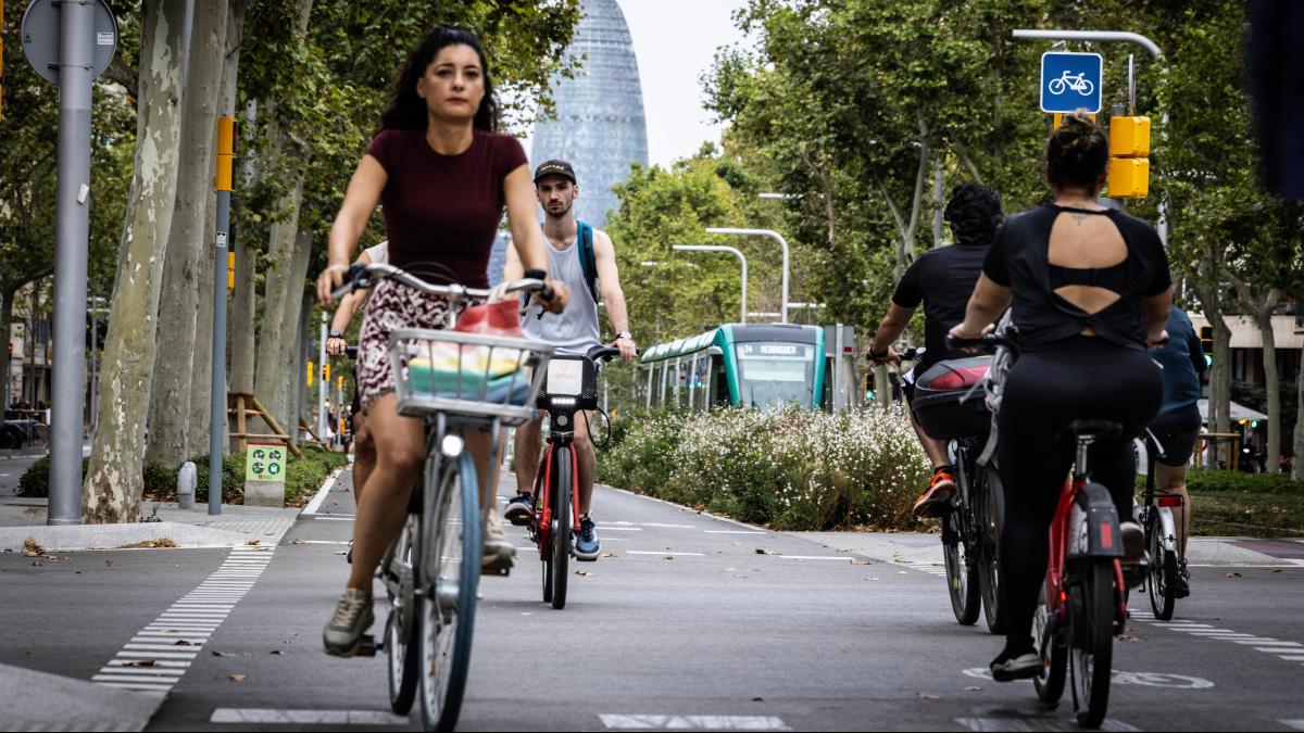 la-ciencia-se-une-a-los-ciclistas-para-crear-el-primer-mapa-real-de-trafico-de-bicis