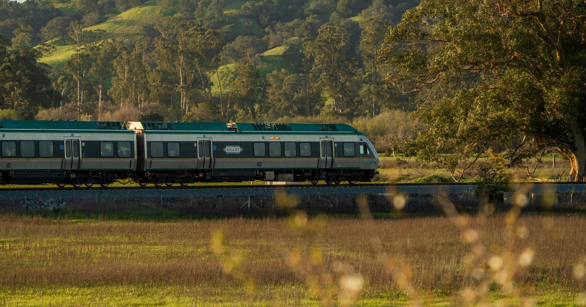 he-traveled-by-train,-took-his-head-through-the-window-and-died:-they-fined-the-railway-company