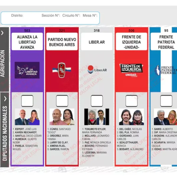 Reimprimir las boletas en la Provincia de Buenos Aires costaría 12.169 millones de pesos