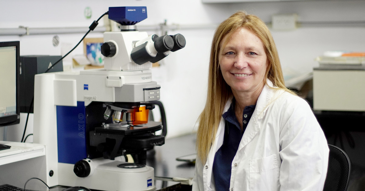 premian-a-una-biologa-marplatense-del-conicet-por-crear-cultivos-resistentes-a-las-olas-de-calor