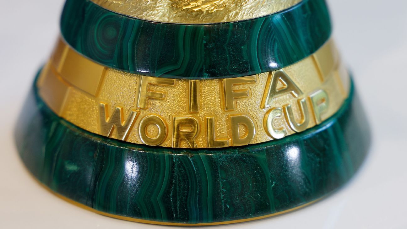 wc-ticket-holders-can-get-priority-visa-interviews