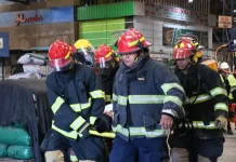 El simulacro del mercado Cofruthos se llevó a cabo con éxito el-simulacro-del-mercado-cofruthos-se-llevo-a-cabo-con-exito