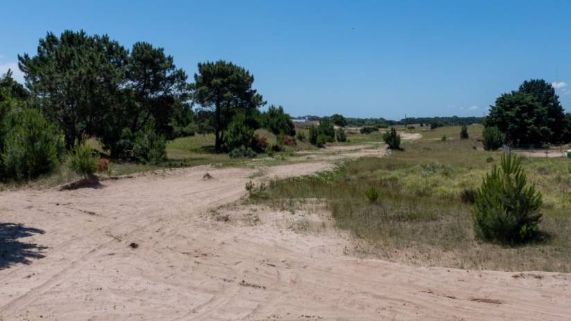 el-intendente-recorrio-los-terrenos-que-se-sortearan-el-6-de-diciembre