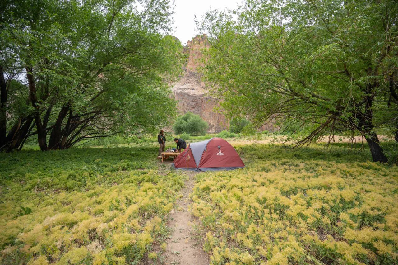 acampar-en-el-parque-patagonia:-una-guia-practica-con-todo-lo-que-hay-que-saber