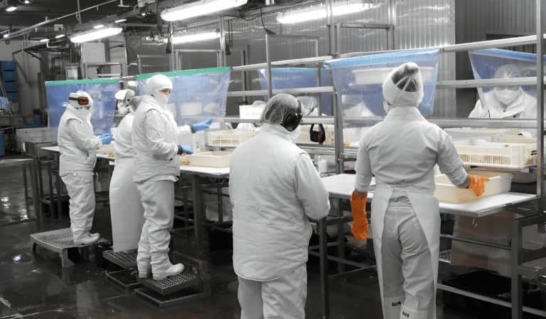 profand-pide-por-tres,-red-chamber-comenzo-a-incumplir-y-el-inutil-util-que-viene