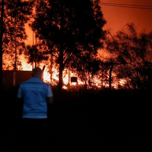 filo2-_2025-11-17t135422.6713053