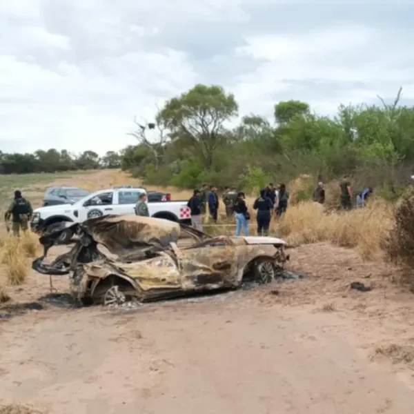 Cayó una avioneta narco en Salta: trasladaba 140 kilos de cocaína