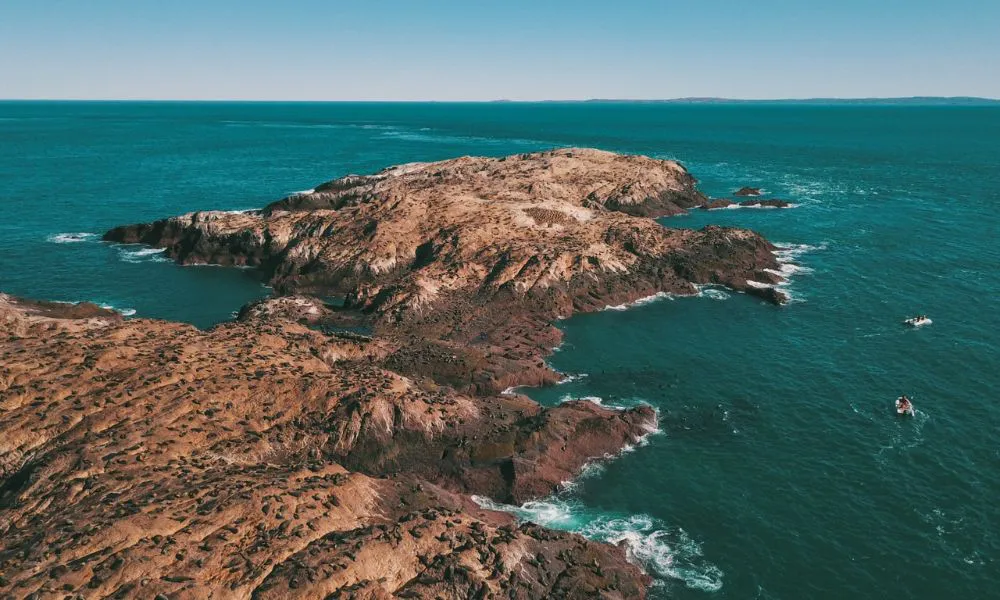 chubut-y-chile-fortalecen-su-trabajo-conjunto-para-potenciar-la-conservacion-marino-costera