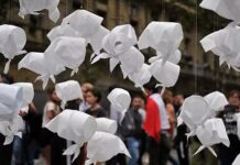 “Derechos humanos en movimiento”: hoy es el festival organizado por Abuelas de Plaza de Mayo