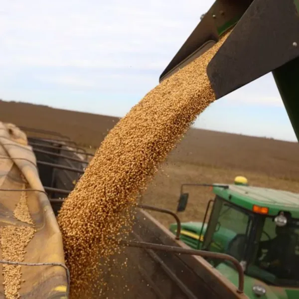 El Gobierno anunció una nueva baja de las retenciones para el agro
