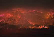 Patagonia en Llamas: El Fuego que Nos Quema a Todos – Un Llamado a Despertar y Actuar