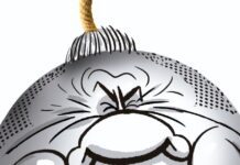 Después de hacer pie en el Congreso, Milei busca ganar peso también en la Justicia despues-de-hacer-pie-en-el-congreso,-milei-busca-ganar-peso-tambien-en-la-justicia