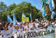 Zdero recortó el 80% del sueldo a los trabajadores del Ministerio de Producción en Chaco zdero-recorto-el-80%-del-sueldo-a-los-trabajadores-del-ministerio-de-produccion-en-chaco