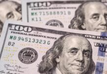 Dólar blue hoy: a cuánto cotiza este lunes 16 de marzo dolar-blue-hoy:-a-cuanto-cotiza-este-lunes-16-de-marzo