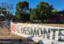 Parque Caraguatá: el Municipio insistió en que «solo limpiaron» y se llamó al silencio parque-caraguata:-el-municipio-insistio-en-que-«solo-limpiaron»-y-se-llamo-al-silencio