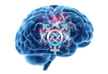 Neuroplasticidad y ética: cambios y efectos en el cerebro transmasculino que nadie te cuenta.