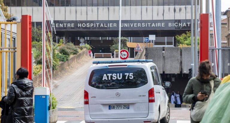 detectaron-el-primer-caso-humano-del-virus-shamonda-en-europa